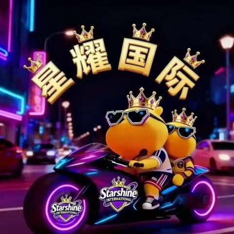 星耀国际